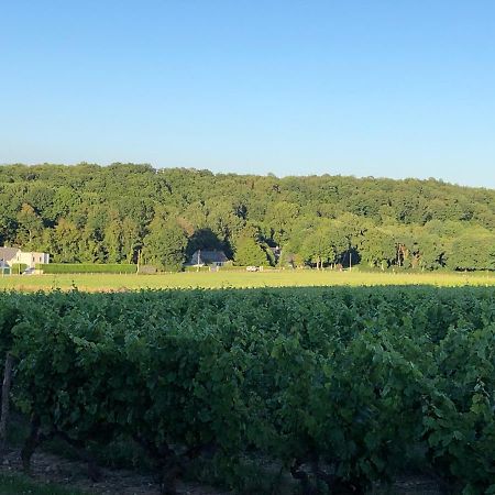 Gite De La Fontaine Bondree Vernou-sur-Brenne Extérieur photo