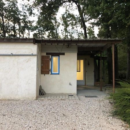 Gite De La Fontaine Bondree Vernou-sur-Brenne Extérieur photo