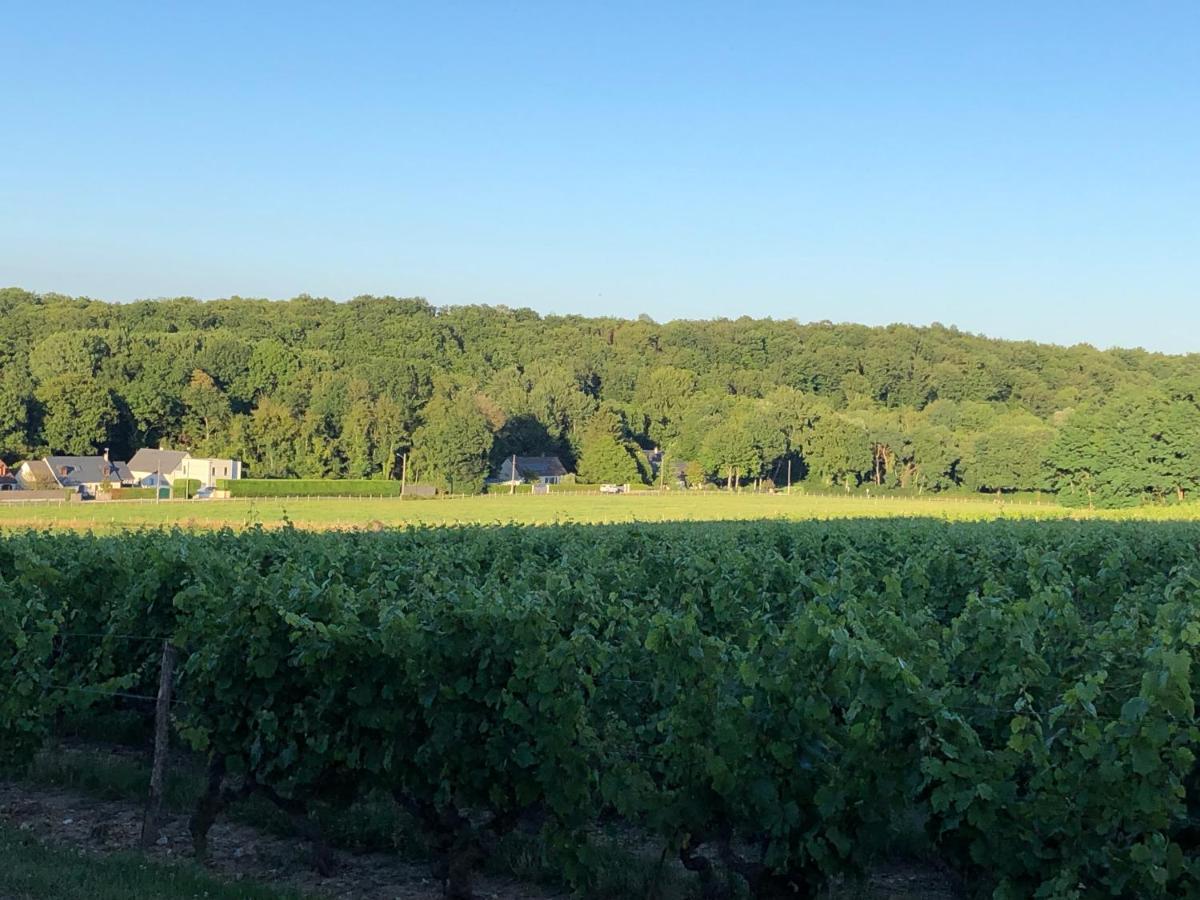 Gite De La Fontaine Bondree Vernou-sur-Brenne Extérieur photo